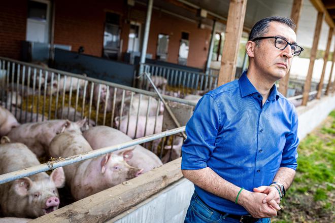 綠黨籍農業(yè)部長要求德國人少吃肉