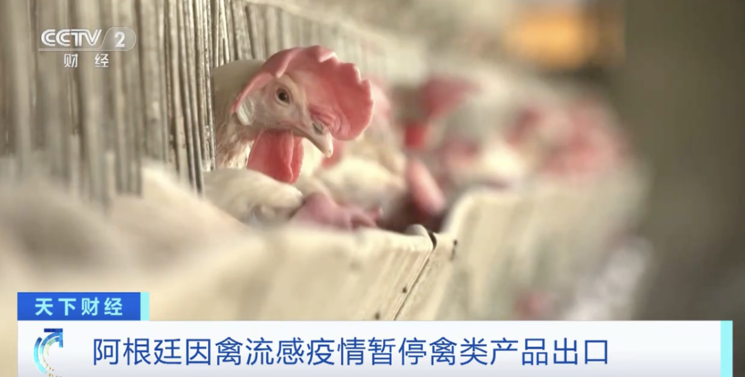 阿根廷因禽流感暫停禽類產品出口