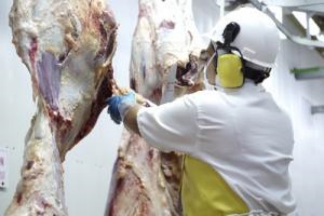 哥倫比亞肉類貿(mào)易 哥倫比亞肉類貿(mào)易